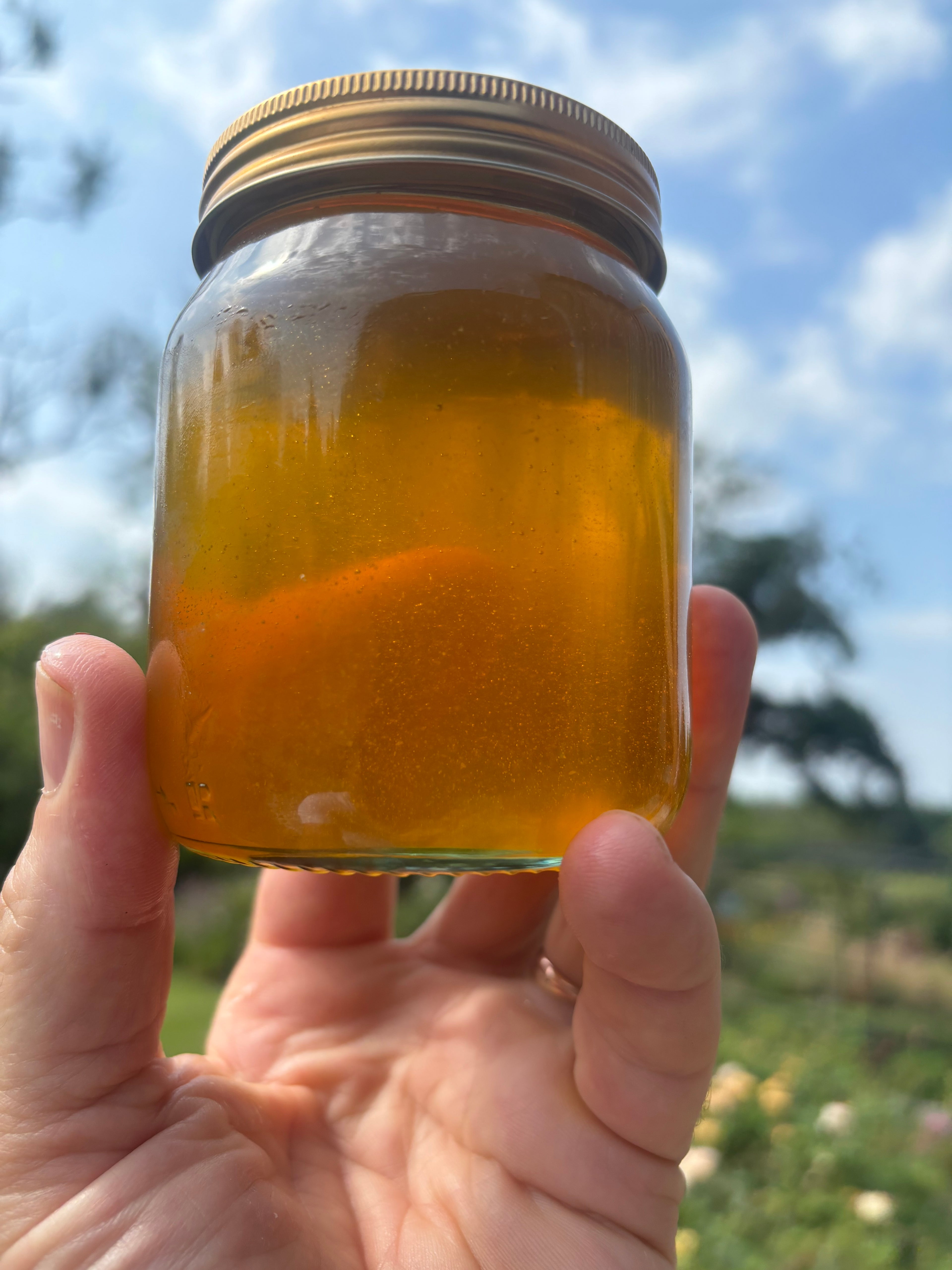 Summer Bramble Honey